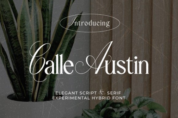 Calle Austin: A Font for Elegant Design