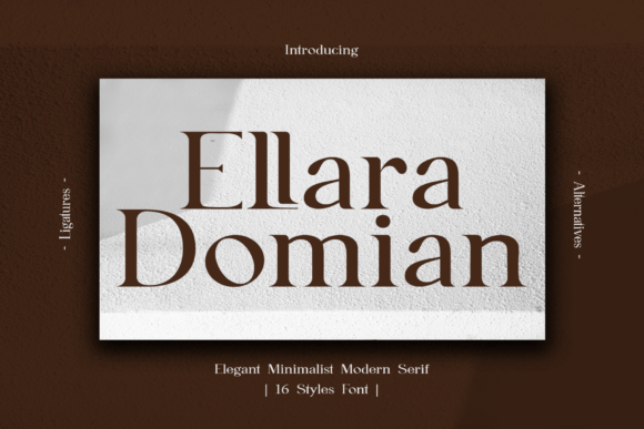 Ellara Domian: A Font for Clear, Elegant Campaigns