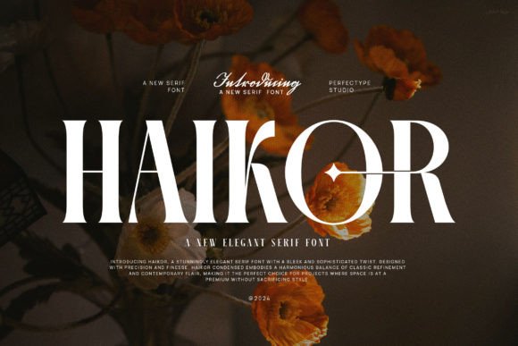 Haikor: A Classy Serif Font