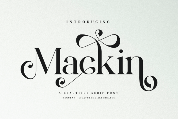 Mackin Font: Stylish & Professional