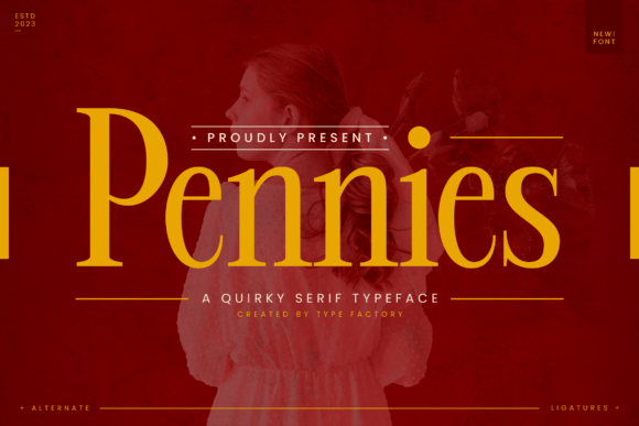 Pennies: A Whimsical Serif Font
